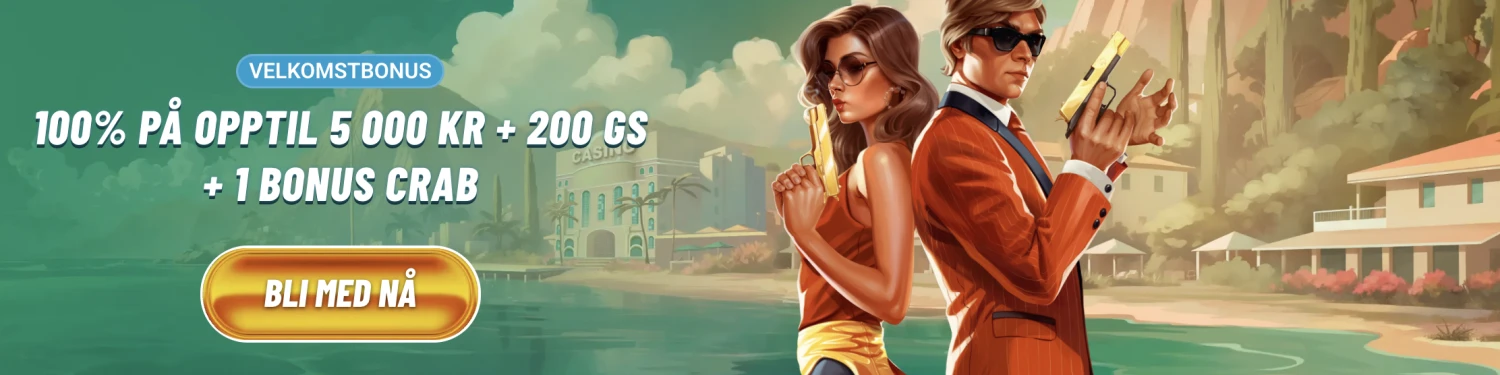 Promotional Banner